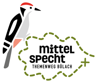 Pick der Mittelspecht